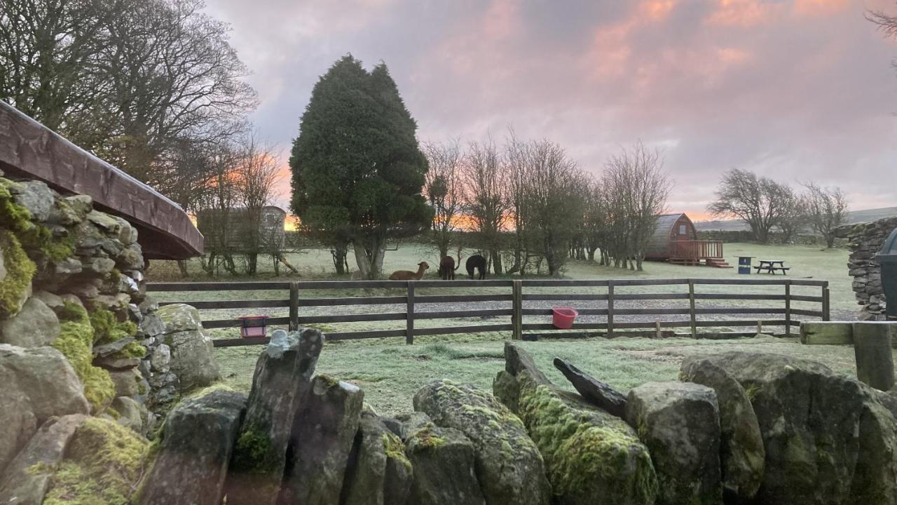 Pentrefoelas Llwyn Onn Guest House, North Wales المظهر الخارجي الصورة