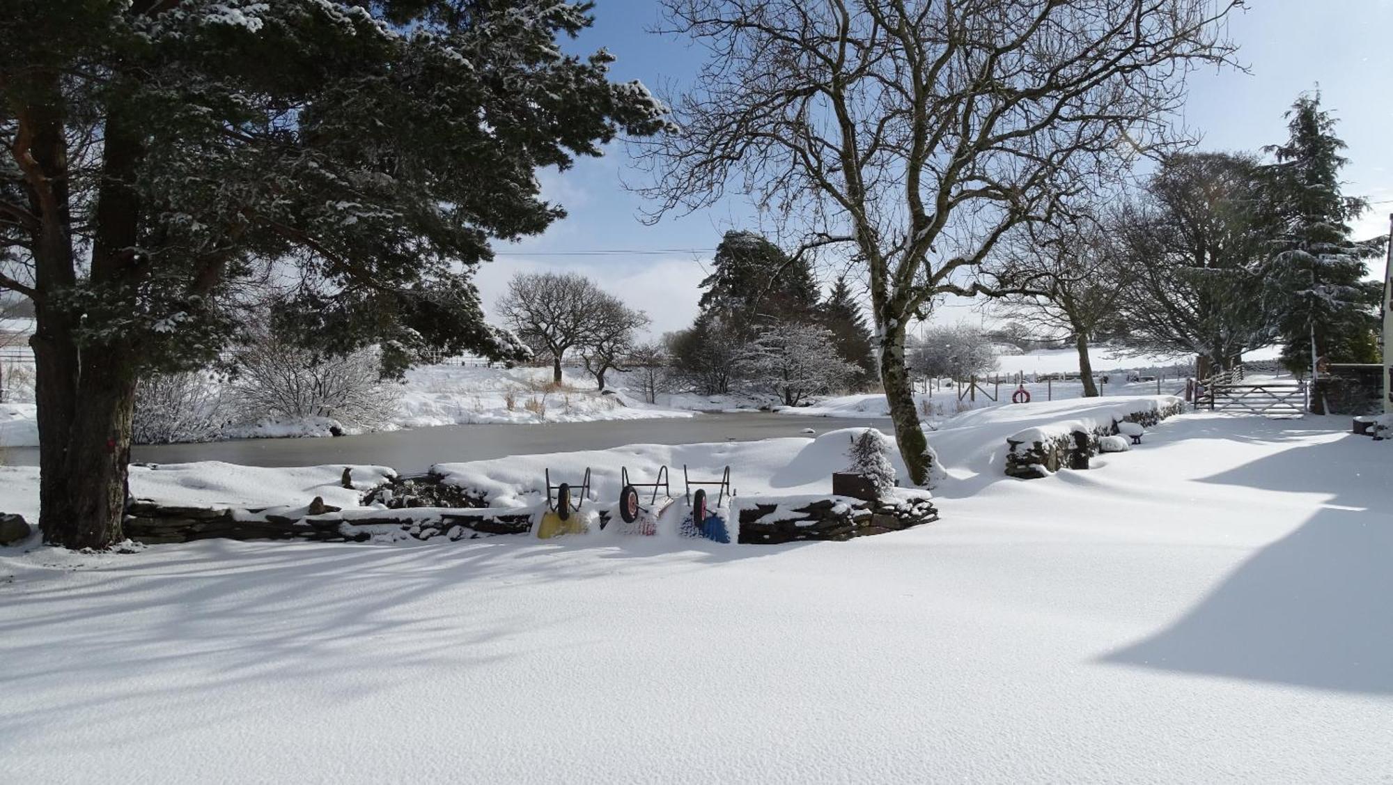 Pentrefoelas Llwyn Onn Guest House, North Wales المظهر الخارجي الصورة