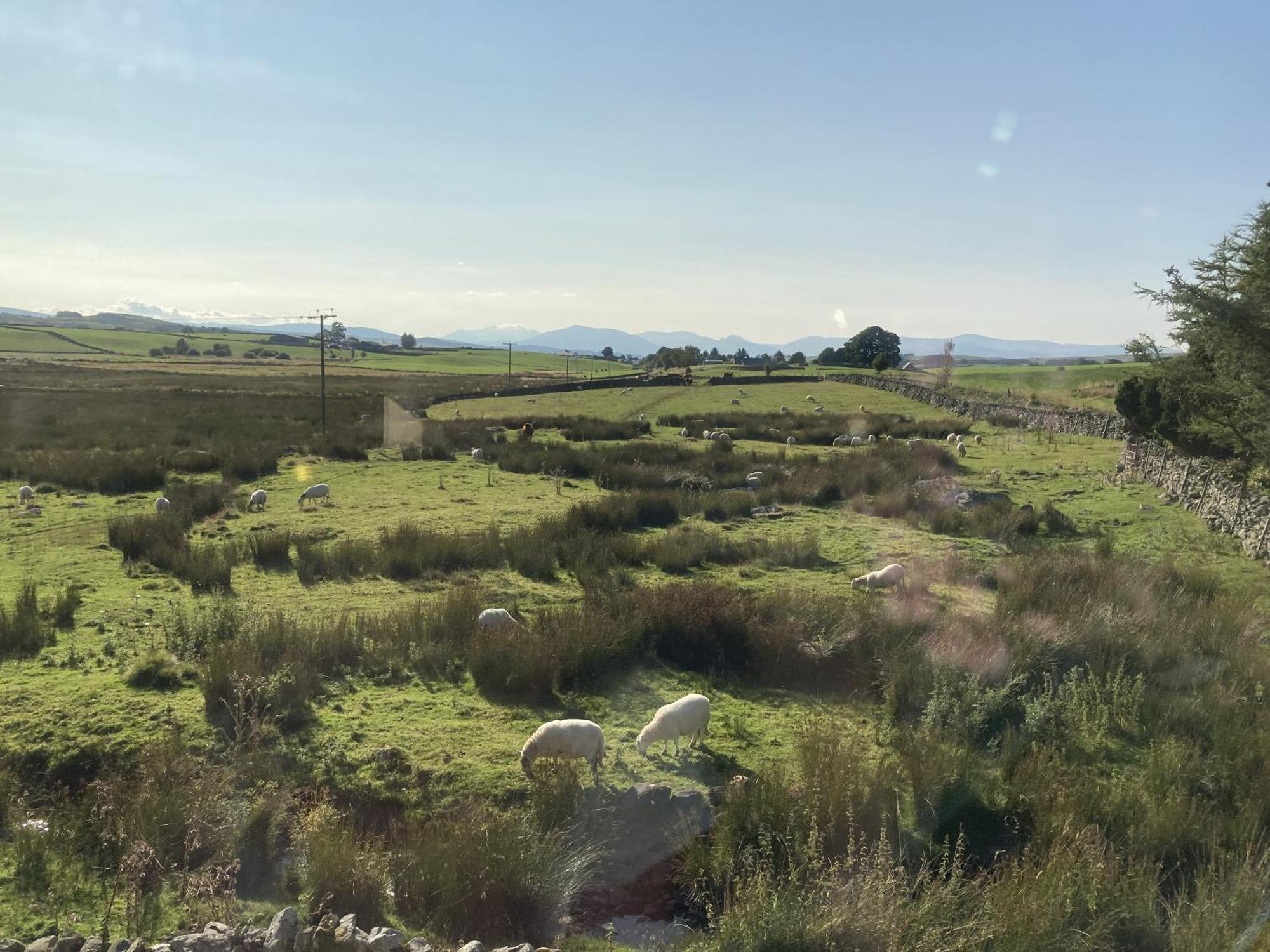 Pentrefoelas Llwyn Onn Guest House, North Wales الغرفة الصورة
